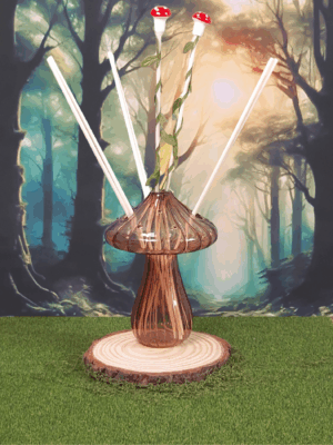 Mushroom reed diffuser